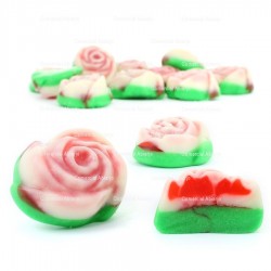ROSAS J.